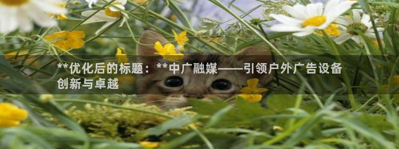 杏宇平台登录步骤图：**优化后的标题：**中广融媒——引领户外广告设备
创新与卓越