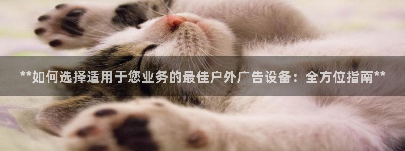 杏宇平台招商：**如何选择适用于您业务的最佳户外广告设备：全方位指南**