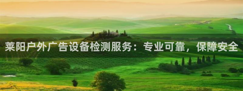 杏宇平台注册地址在哪里：莱阳户外广告设备检测服务：专业可靠，保障安全