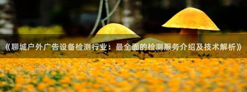 杏宇平台怎么样：《聊城户外广告设备检测行业：最全面的检测服务介绍及技术解析》