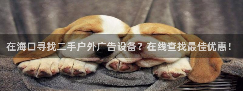 杏宇平台招商怎么样：在海口寻找二手户外广告设备？在线查找最佳优惠！