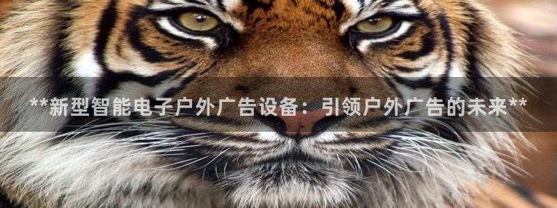 杏宇平台总代理电话