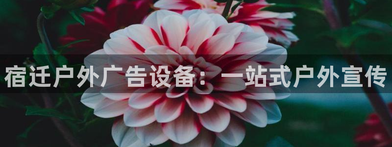 杏宇平台登录步骤图：宿迁户外广告设备：一站式户外宣传
