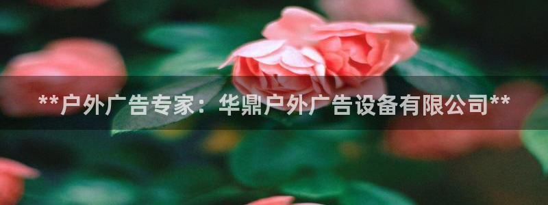 杏宇平台注册地址：**户外广告专家：华鼎户外广告设备有限公司**