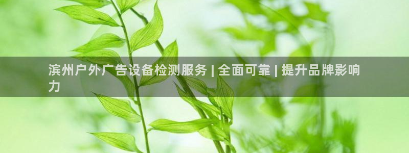 杏宇平台代理多少钱一个月：滨州户外广告设备检测服务 | 全面可靠 | 提升品牌影响
力