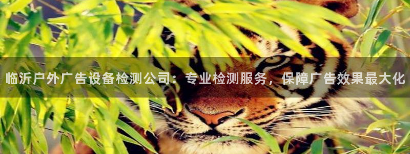 杏宇平台招商怎么样