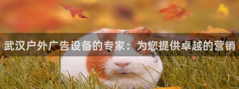 杏宇官方平台官网入口：武汉户外广告设备的专家：为您提供卓越的营销