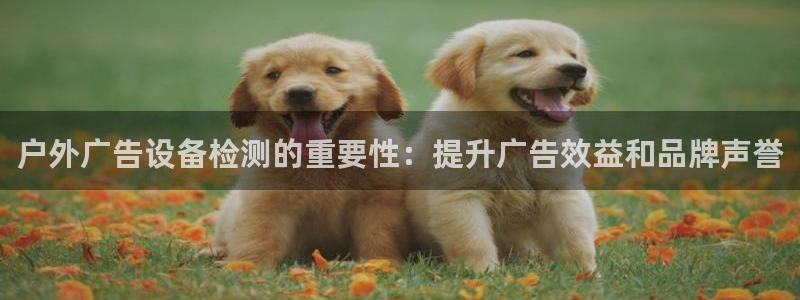 杏宇平台怎么样