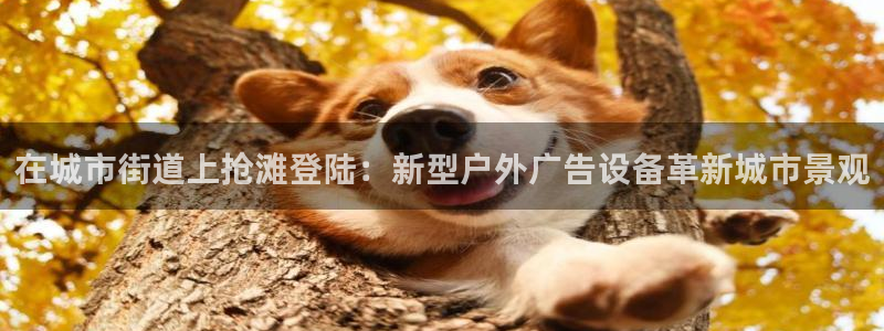 杏宇平台代理怎么样啊
