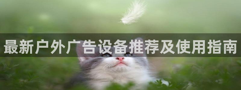 杏宇平台代理多少钱一个：最新户外广告设备推荐及使用指南