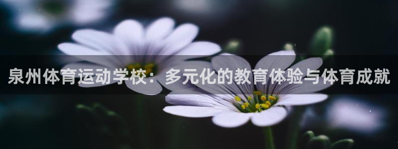 风速体育app官方下载：泉州体育运动学校：多元化的教育体验与体育成就